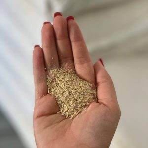 سبوس دامی